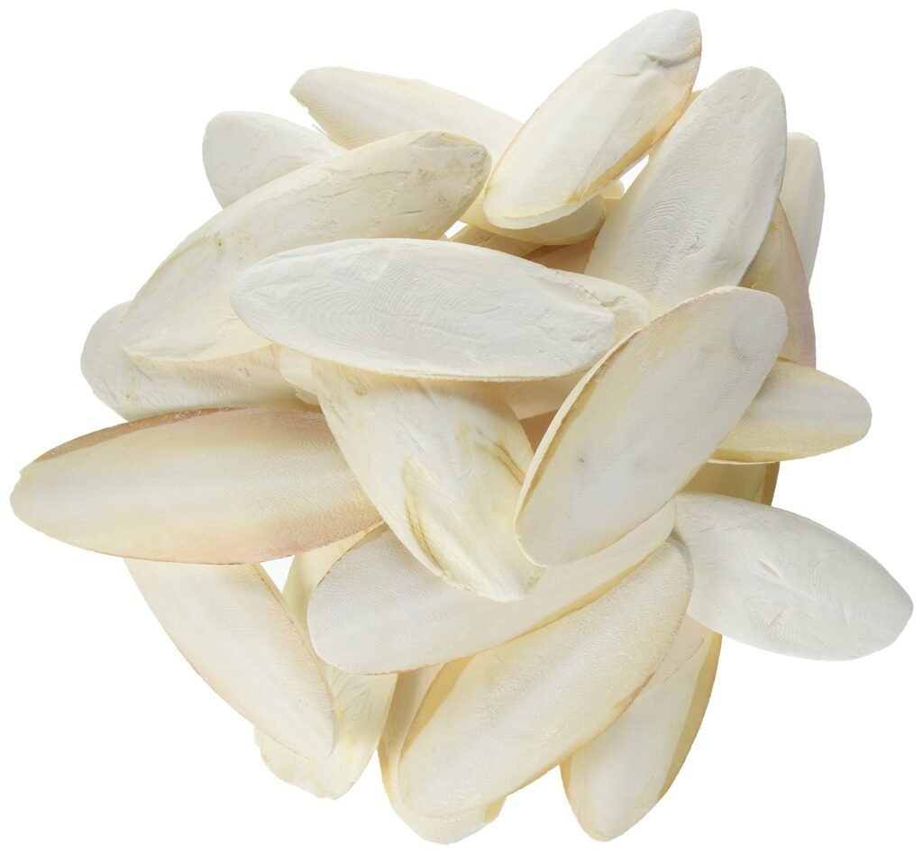 Cuttlebone For Birds 1 Pound – Edwin Lugo Birds Supplies en Camuy ...