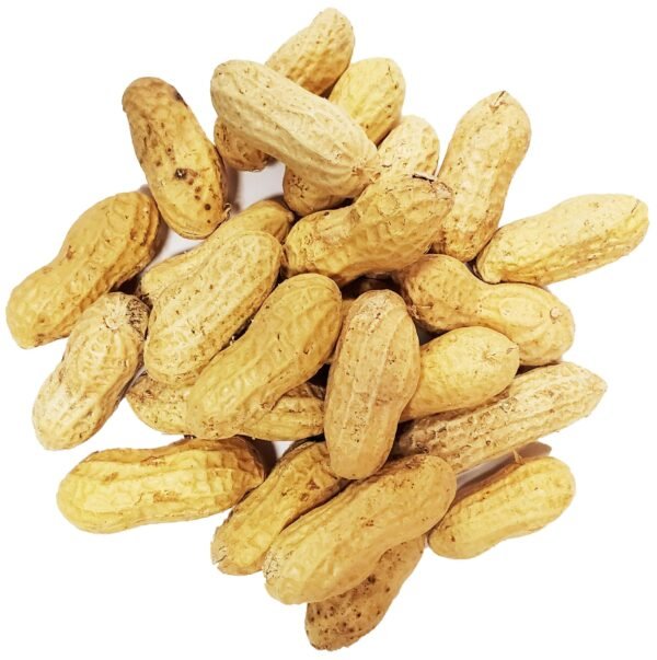 PEANUTS IN SHELL 2 POUNDS BAG