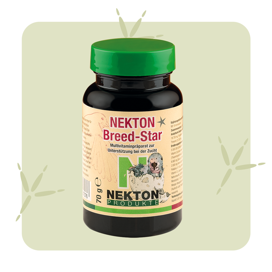 NEKTON-Breed-Star